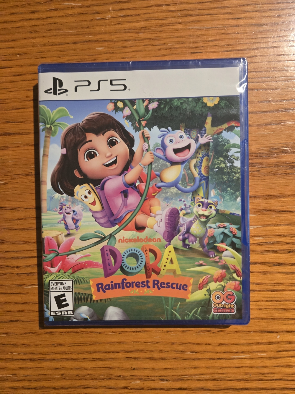 PS5 Dora Rainforest Rescue Video Game